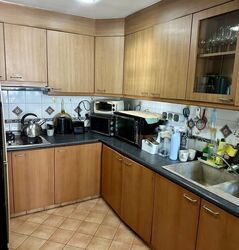 Parc Palais (D21), Condominium #626493091